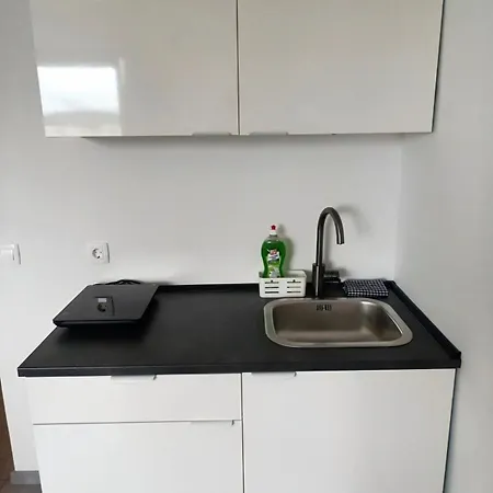 Renovated For Four 아파트 류블랴나