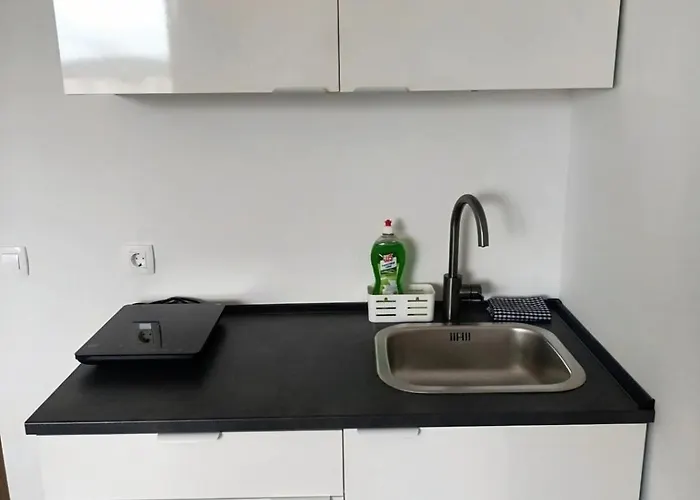 Renovated For Four Apartman Ljubljana